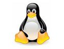 linux website hosting